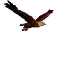 ۩◄عبد العزيز شلبى►۩